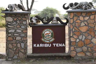 DSC_4129 (Large).JPG